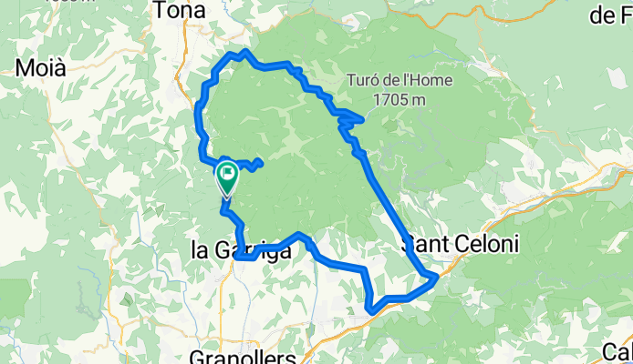 Samalus-Collformic-Tagamanent 