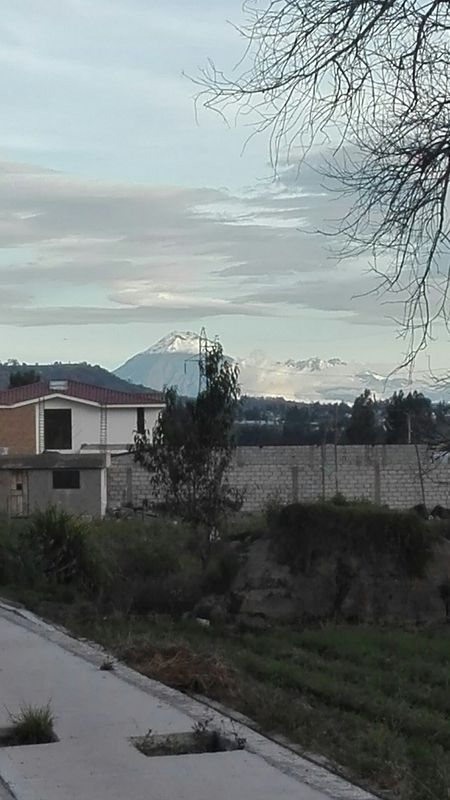 9vena Salcedo