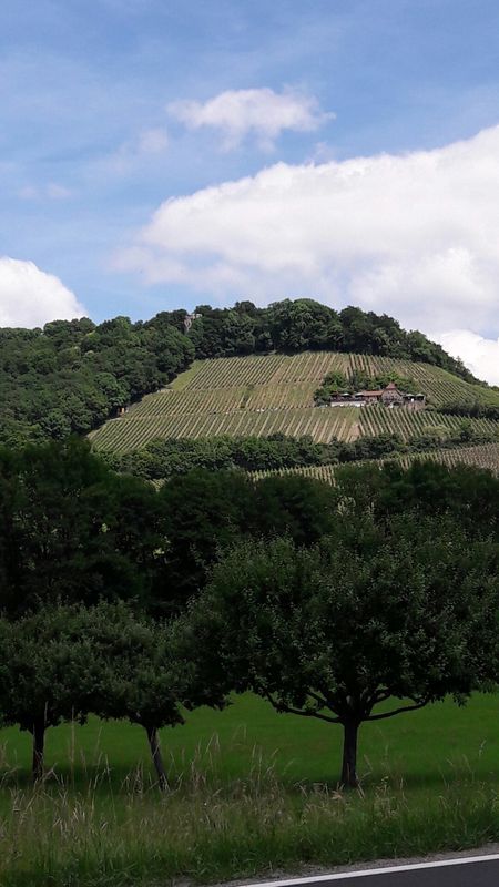 Lange Ausfahrt durch Oberschwarzach nach Burgwindheim