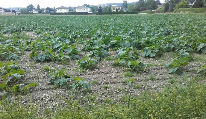 Photo 2 de l’itinéraire Bikemap « Lange Radrunde durch Braunau am Inn »