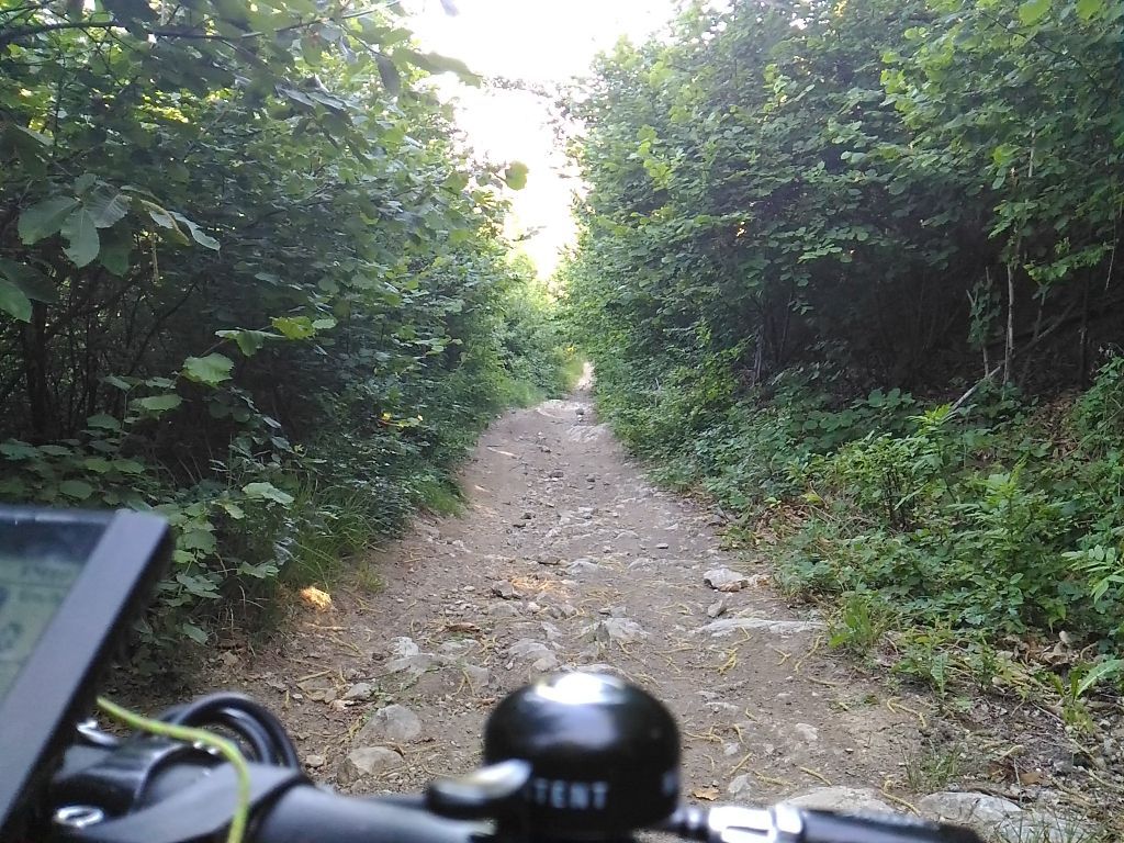 Montasico Bortolani Montepastore