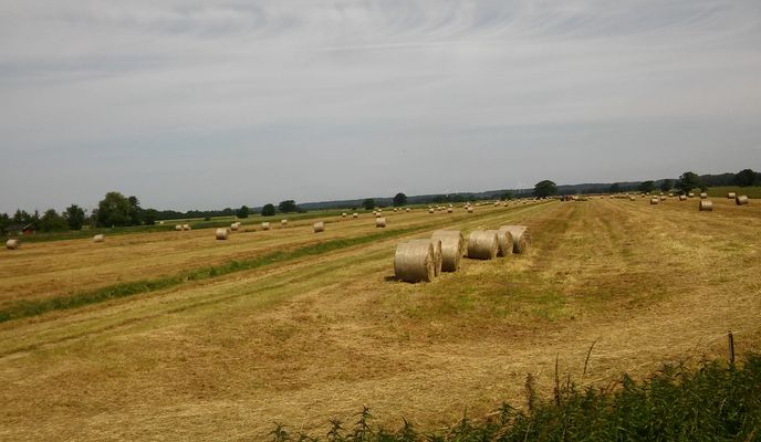 Photo 2 of the Bikemap route "Horn_Geesthacht_Harburg_Peute_Horn"