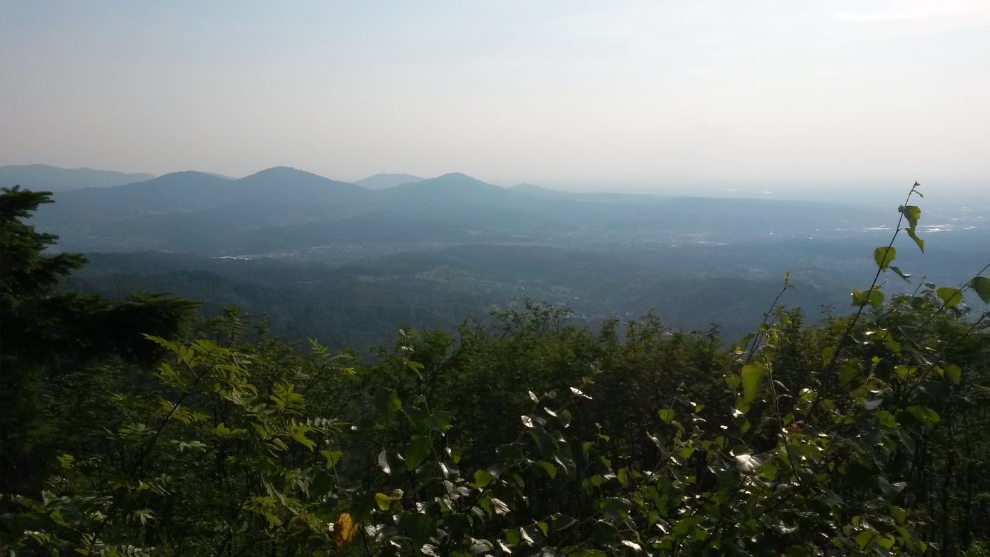 Spessart-Völkersbach-Freiolsheim-Bernstein-Mahlberg und zurück