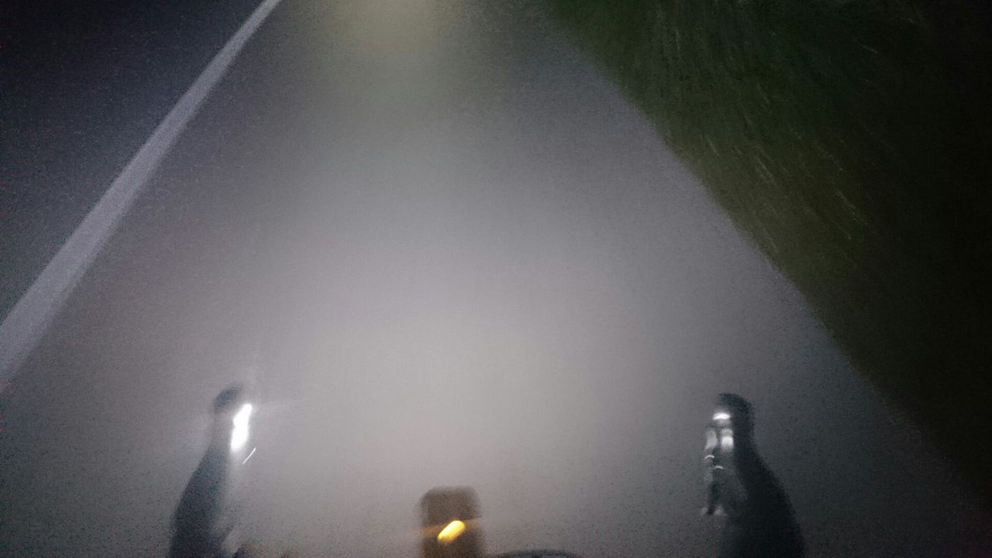 Lengthy bike tour through Mandre