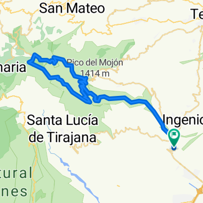 Pico de las Nieves