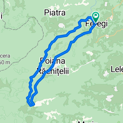 Feregi - Vadu Dobrii - Poiana Rachitelii