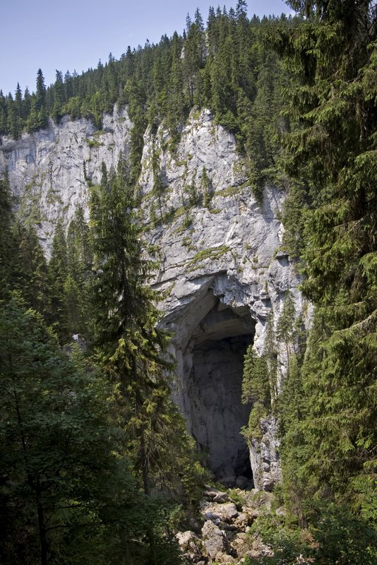16. Circuitul Cetățile Ponorului (Padiș)