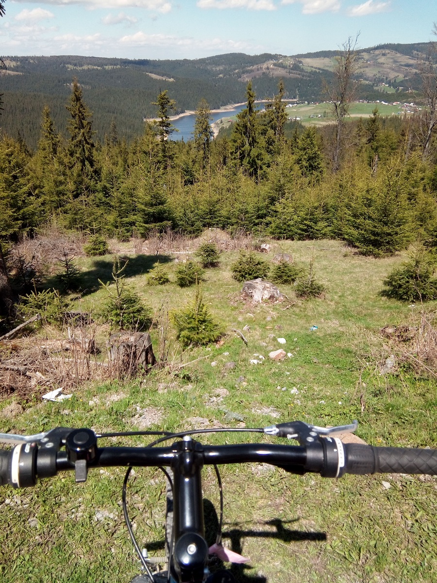 Highlight 2 along the Bikemap route "18. Pădurea de brad de la Smida"