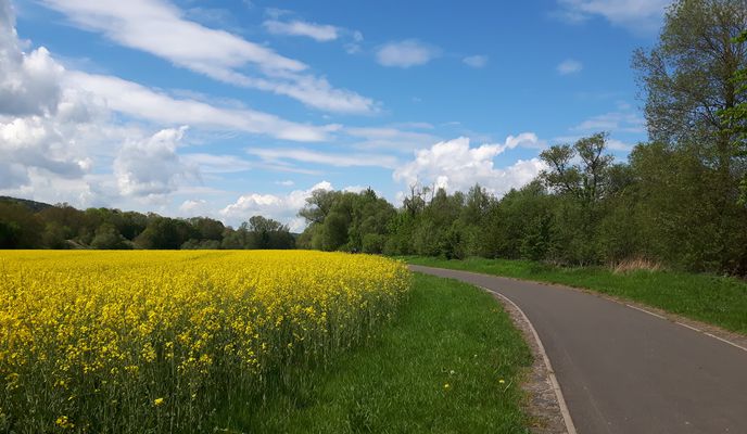 Foto 1 der Bikemap-Route "Werratal Etappe2"