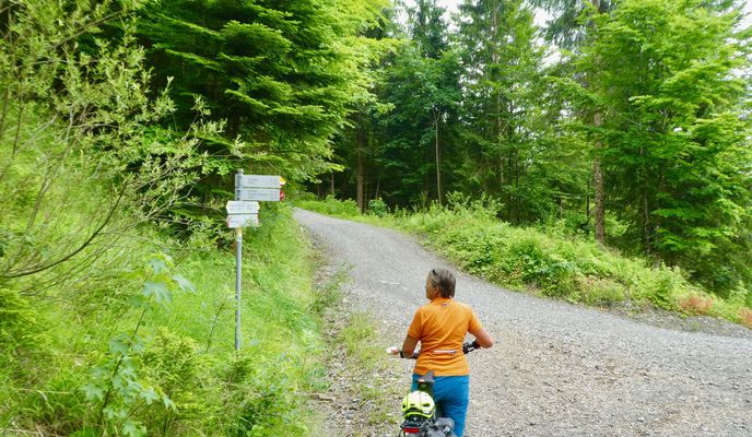 Photo 1 of the Bikemap route "Dannerbruck-Kehlegg-Gräsa-Weißenfluh-Kobel-Dannerbruck"