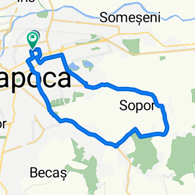 Sopor-Borhanci-Cluj Napoca
