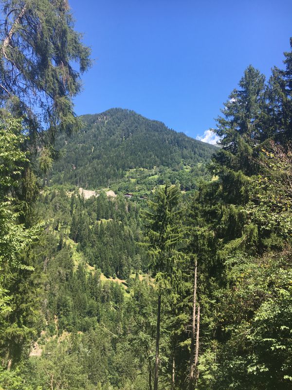 Passugger Wald Weg