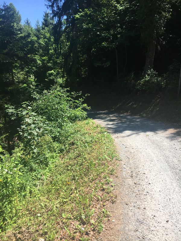 Passugger Wald Weg