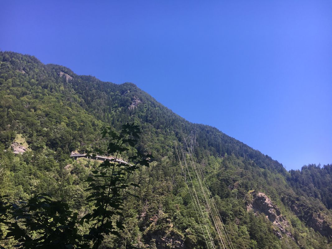 Passugger Wald Weg