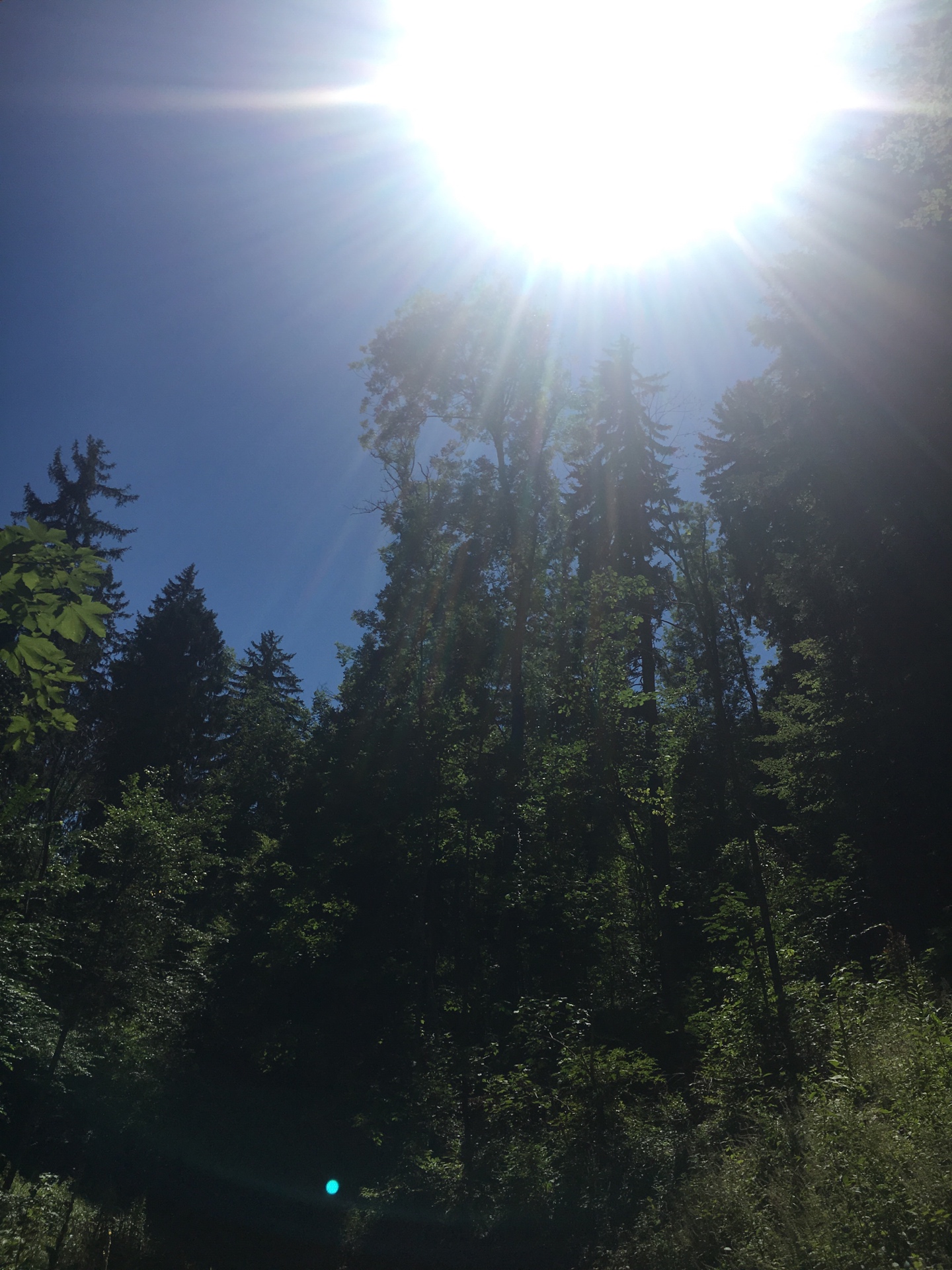 Punto saliente 1 lungo il percorso Bikemap "Passugger Wald Weg"