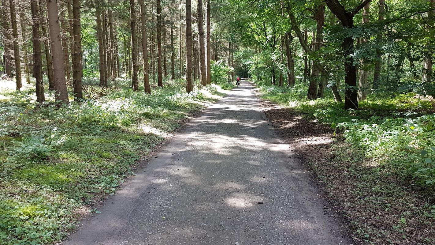 Großenwiehe nach Düsseldorf