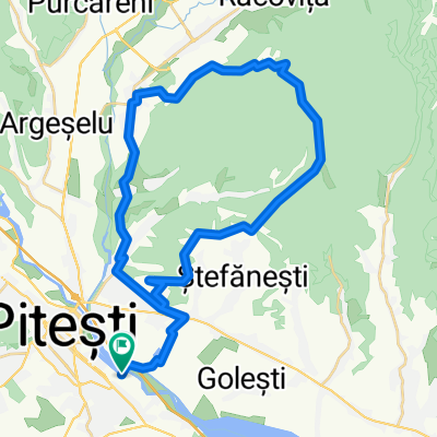 6.07.2017, ICNE si uzina Dacia