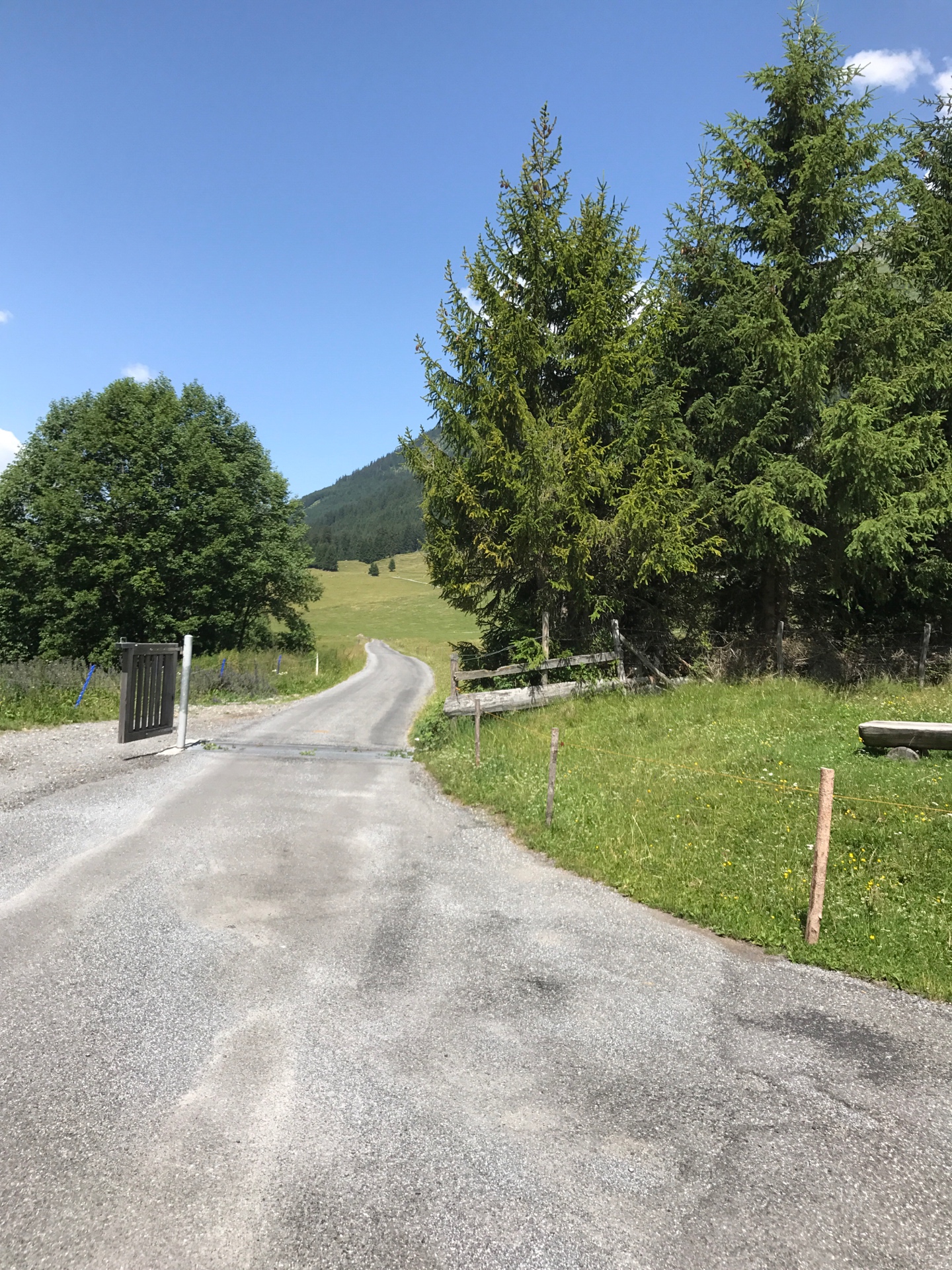 Highlight 3 along the Bikemap route "Velo Klosters - Alp Novai"