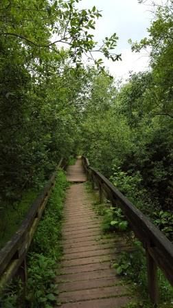 Barmbek - Ahrensburg - Poppenbüttel