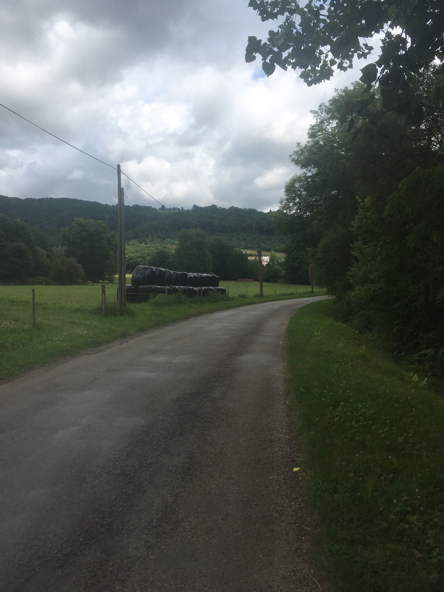 Hebe Bild 1 entlang der Bikemap-Route "Quick bike tour from Altillac to Beaulieu-sur-Dordogne" hervor