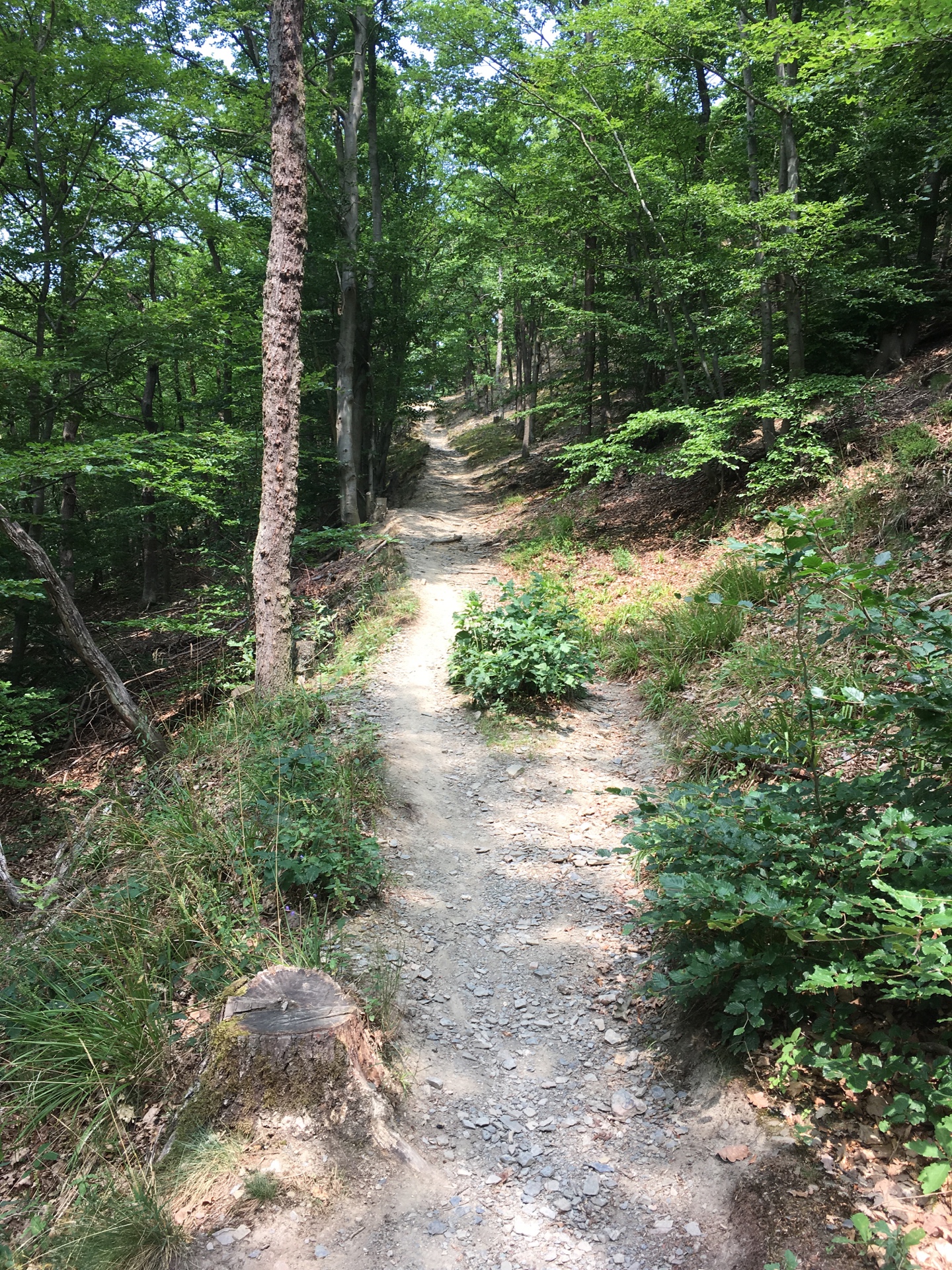 Point fort 4 sur l’itinéraire Bikemap « Zwei Hüttentour: Zur Akropolis und dann zum Steinerberghaus rauf »