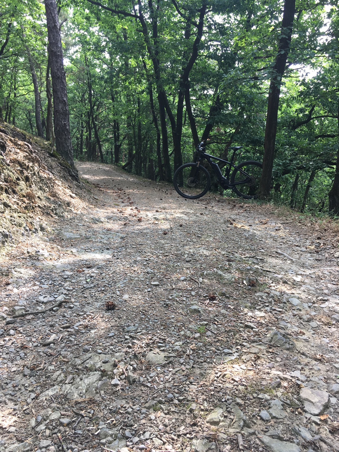 Point fort 1 sur l’itinéraire Bikemap « Zwei Hüttentour: Zur Akropolis und dann zum Steinerberghaus rauf »