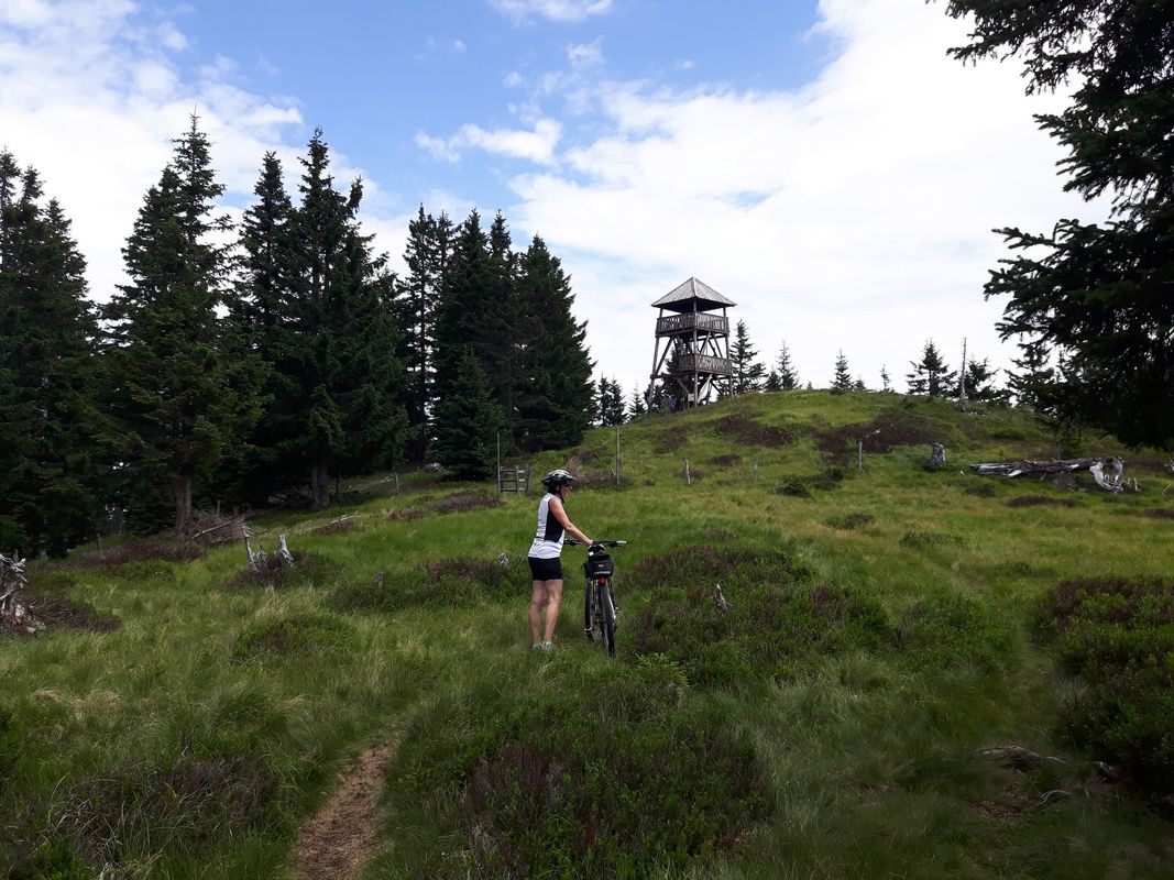 Pudgarsko-Bela Peč-Travnik-Črno jezero-Dom na Smrekovcu-Pudgarsko