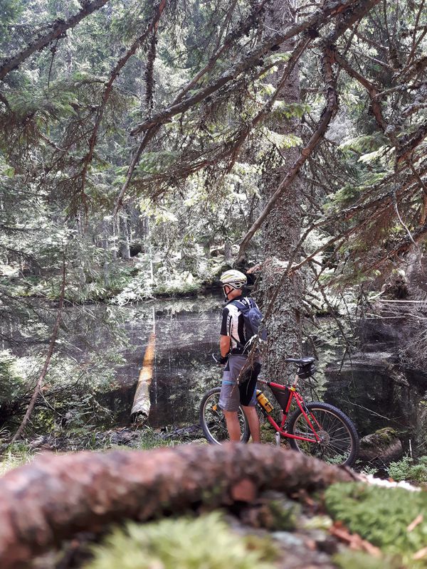 Pudgarsko-Bela Peč-Travnik-Črno jezero-Dom na Smrekovcu-Pudgarsko