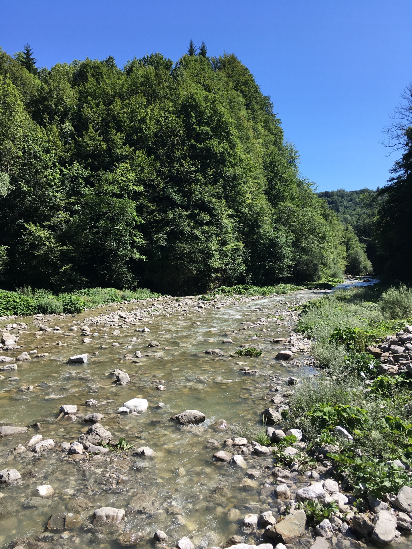 Point fort 5 sur l’itinéraire Bikemap « Krog robidisce »