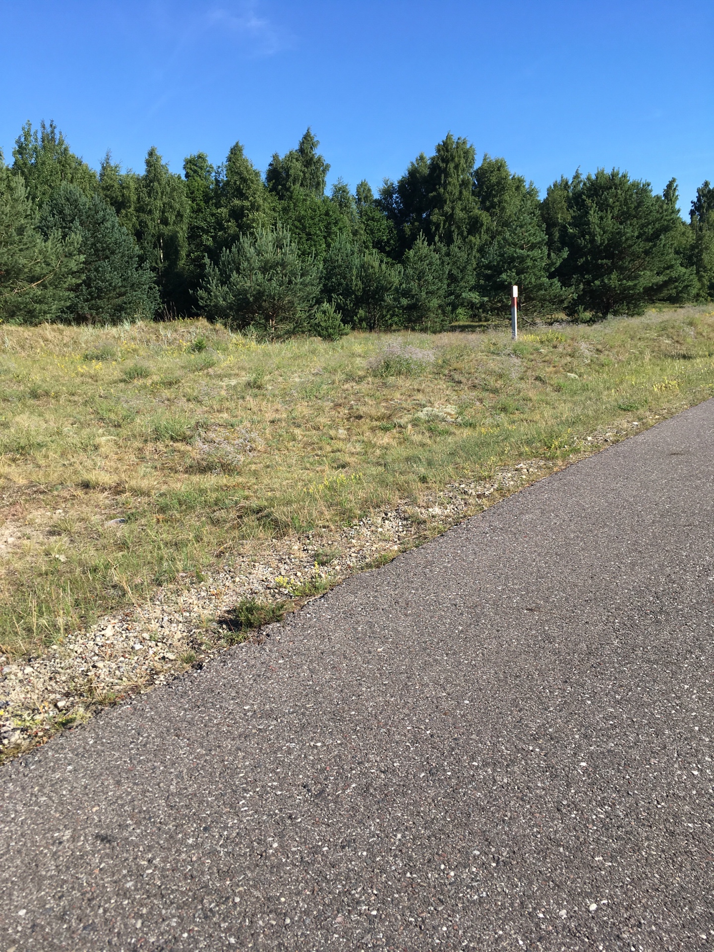 Hebe Bild 8 entlang der Bikemap-Route "Klaipeda - Liepaja vom 14.07.17, 14:51" hervor