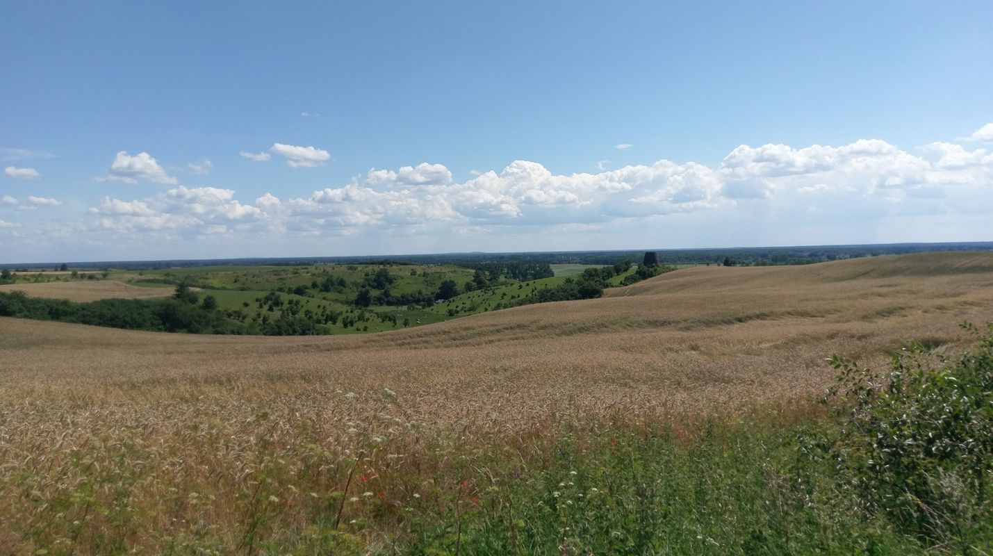 15072017 Gorzów Wielkopolski