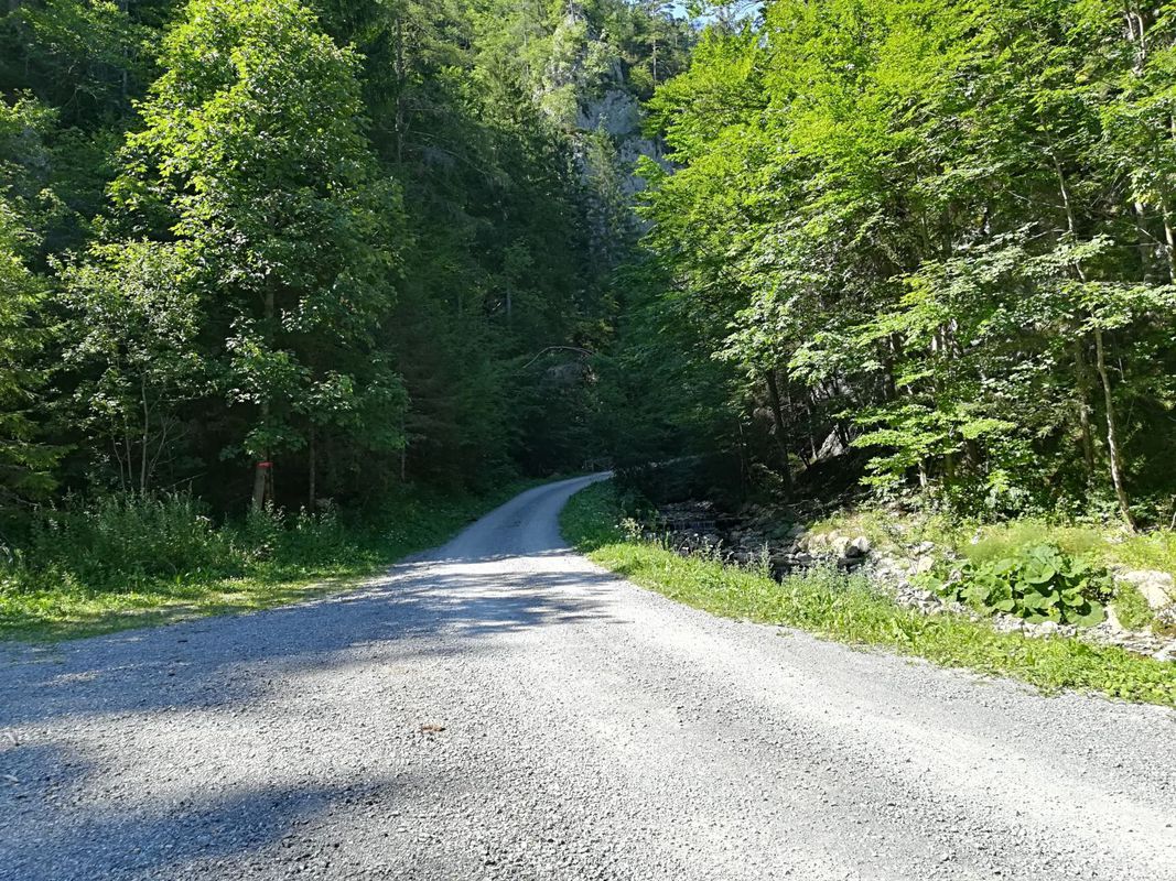 Velenje-Florjan-Smrekovc-Florjan--Velenje 18.07.2017