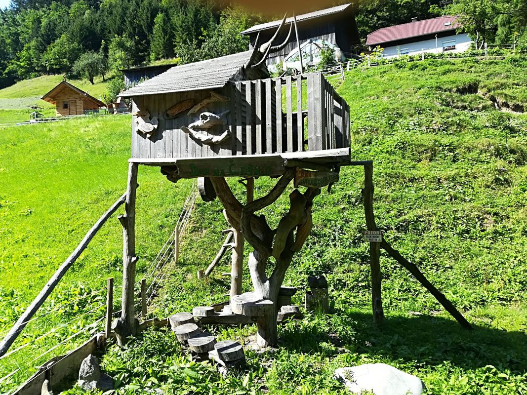 Velenje-Florjan-Smrekovc-Florjan--Velenje 18.07.2017