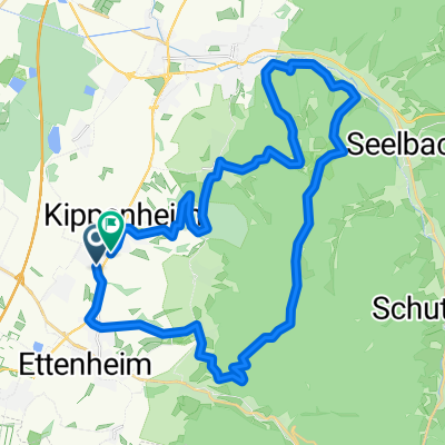 Windräder/Hasenberg/Langenhard/Reichenbach über Langenhard zurück 