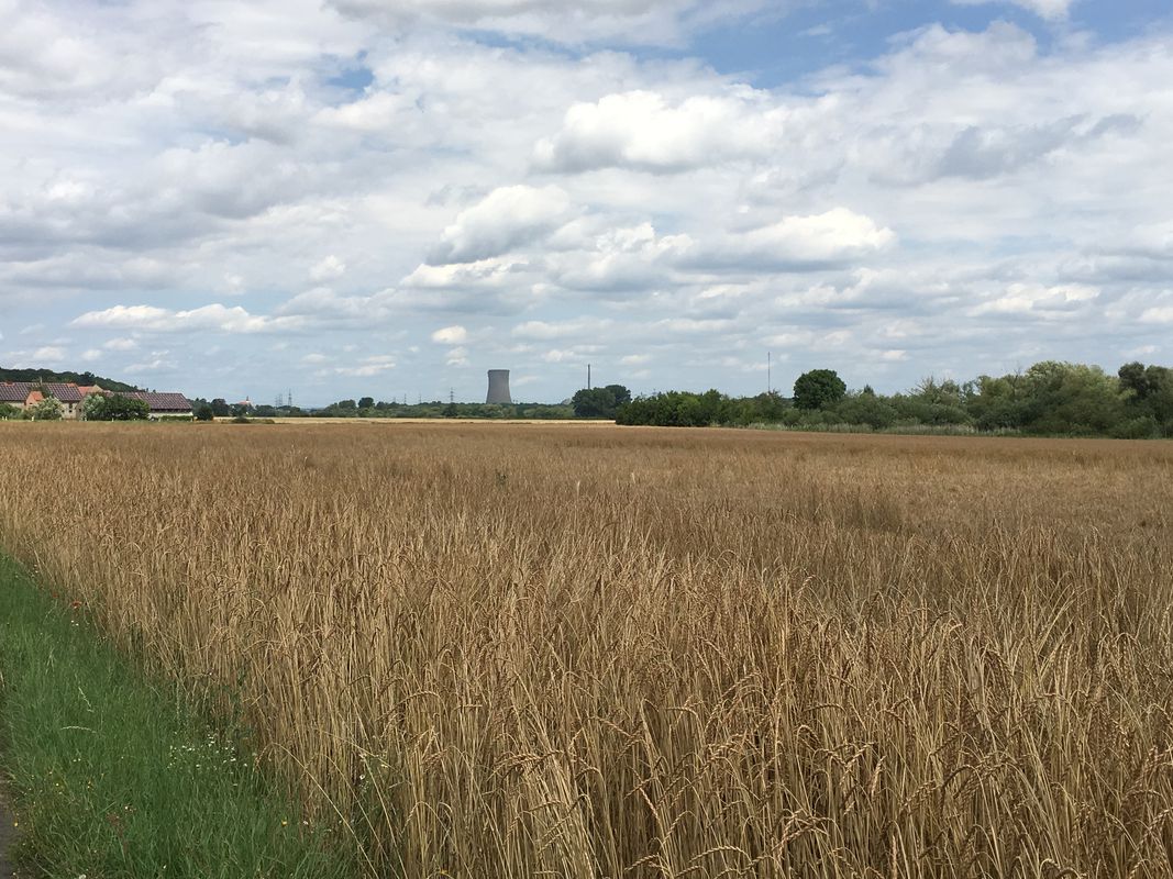 Rundtour ab Volkach