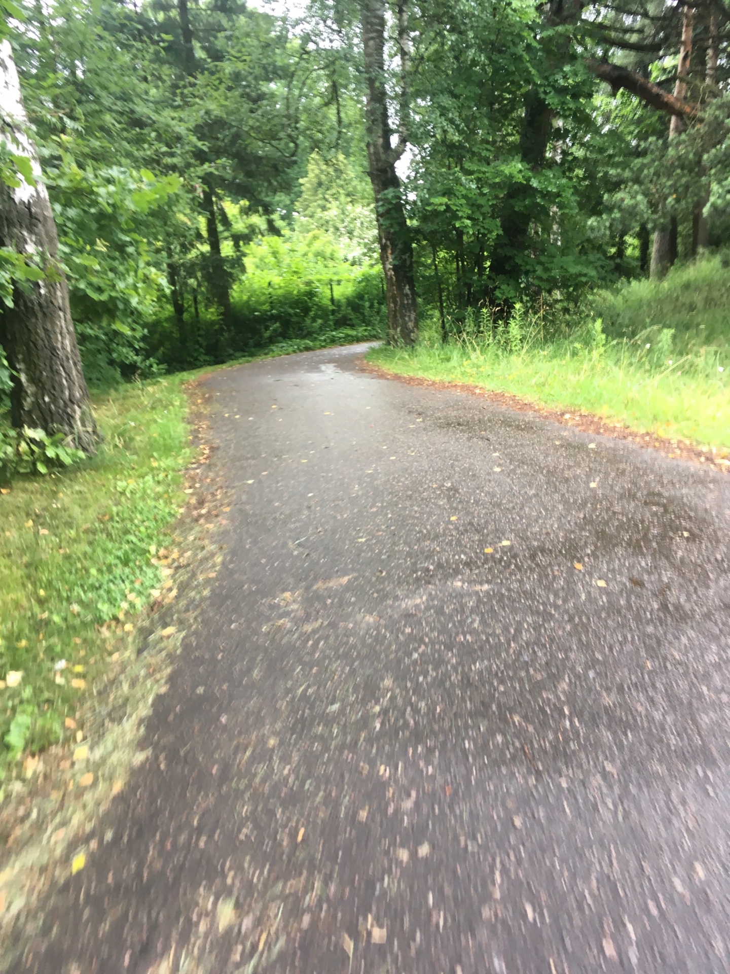 Highlight 1 along the Bikemap route "Jurmala - Riga (Airport)  vom 17.07.17, 11:38"