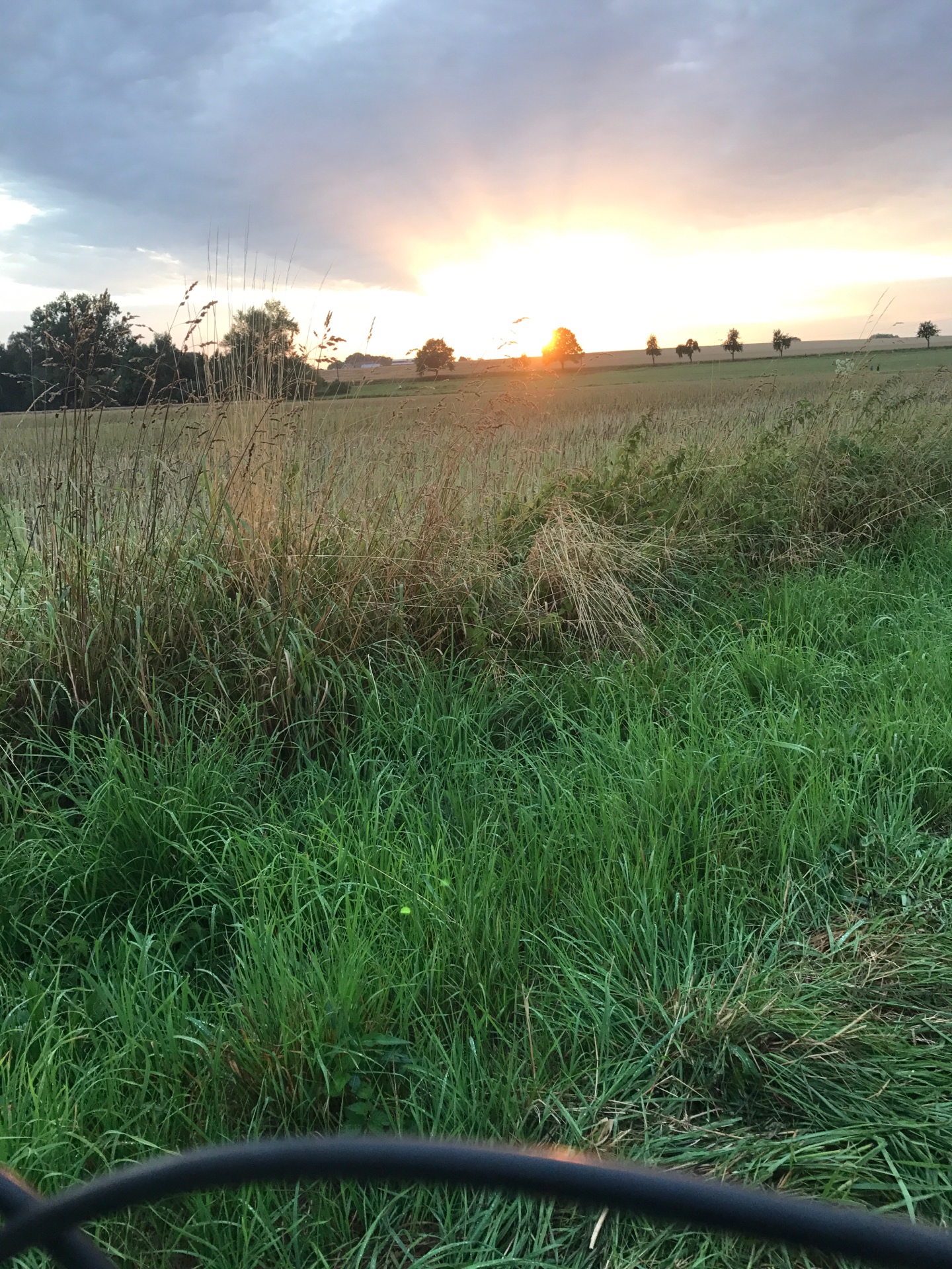 Hebe Bild 2 entlang der Bikemap-Route "Lange Radrunde durch Hamm" hervor Hebe Bild 2 entlang der Bikemap-Route "Lange Radrunde durch Hamm" hervor