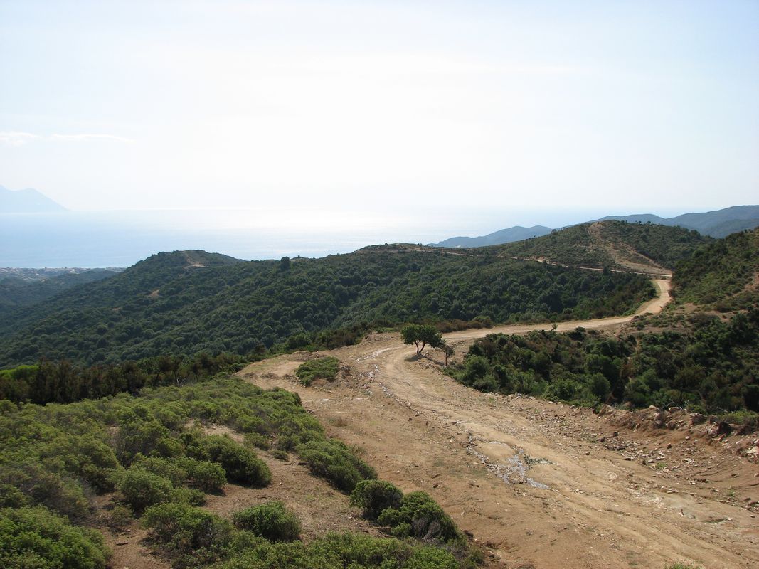 Sykia - Sarti