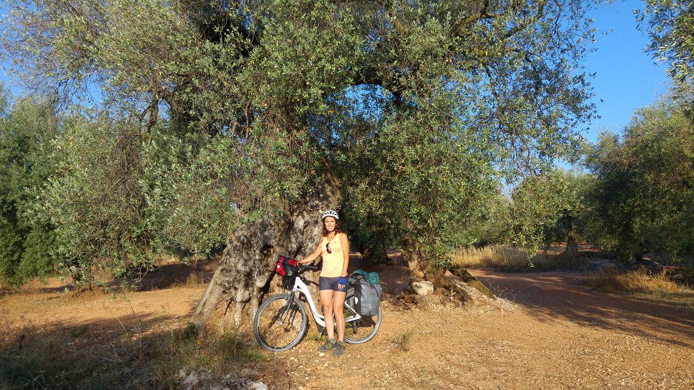 Ebre-Maestrat 10: Sant Mateu-La Pobla de Benifassà