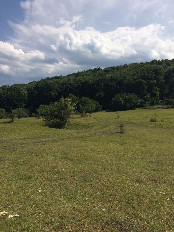 Vlaha-Sălicea-Tauti-Florești