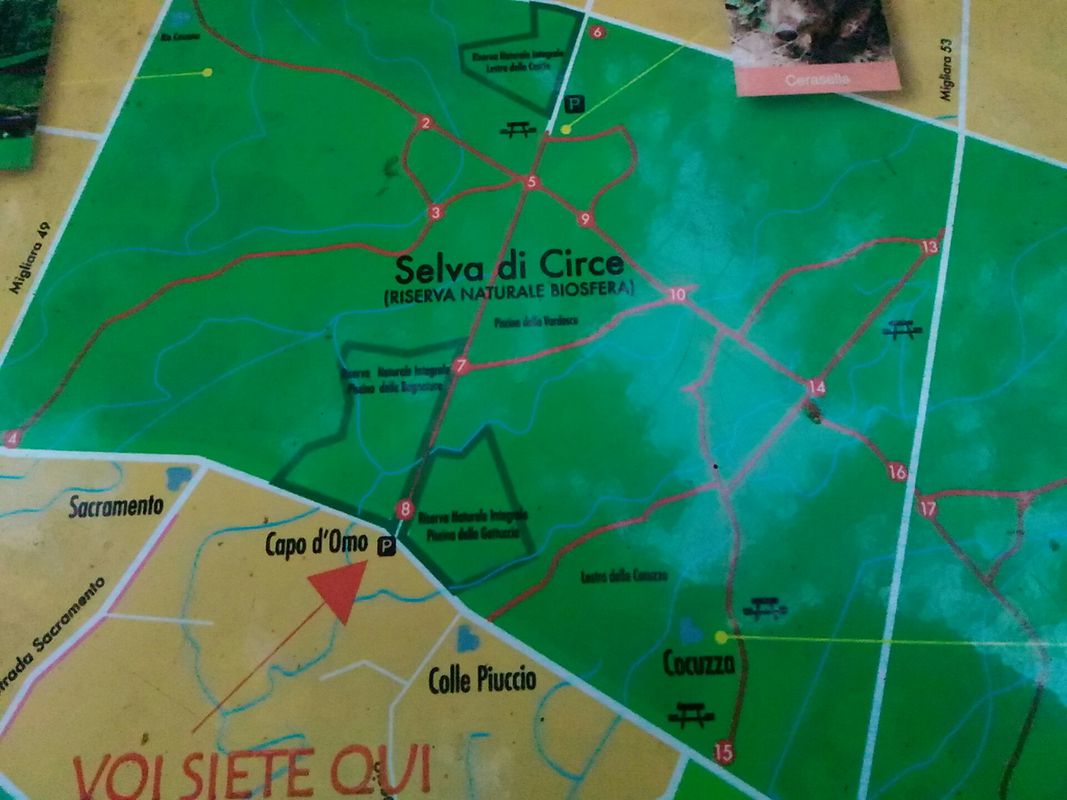 Sabaudia Cerasella-Cocuzza - foresta quaternaria