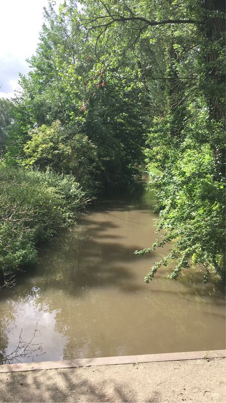 Kleine Runde am Sonntag... Waldweg +Dörfern