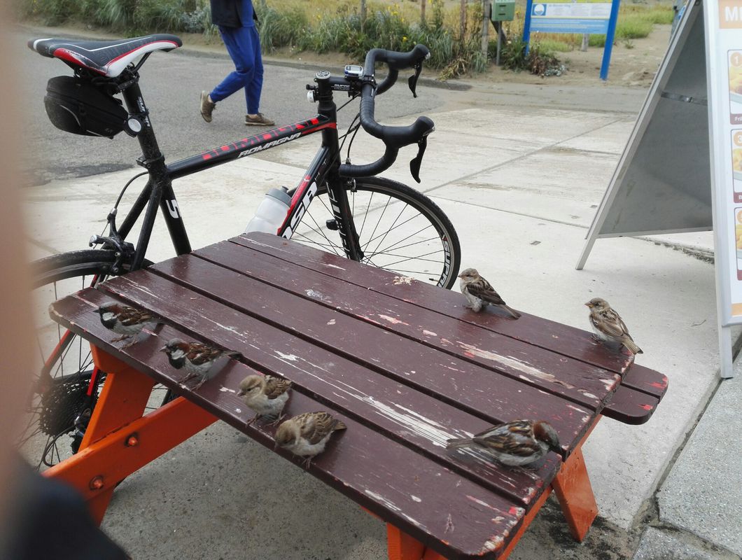 Zoetermeer Wassenaarse Slag met koffie in de regen