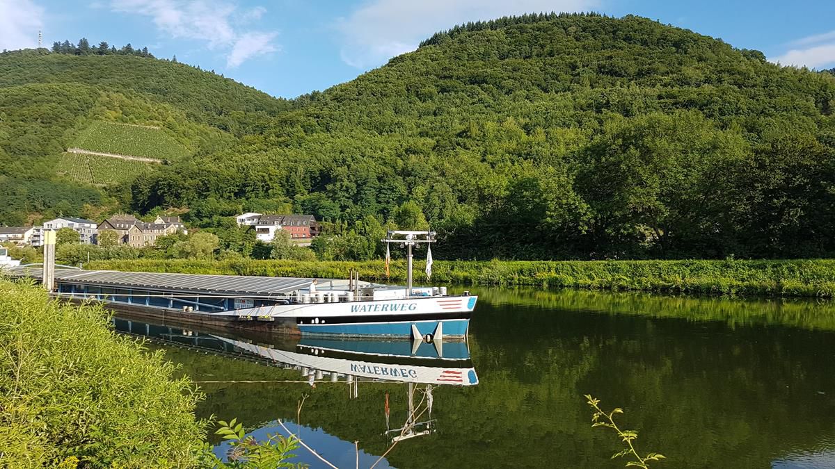 Mosel Radtour Bruttig-Fankel nach Bernkastel-Kues