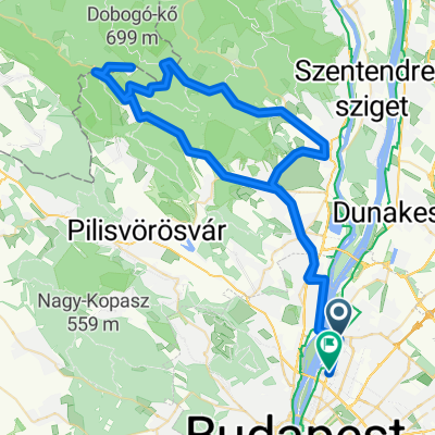 2010.03.15 pilis,dobogókő