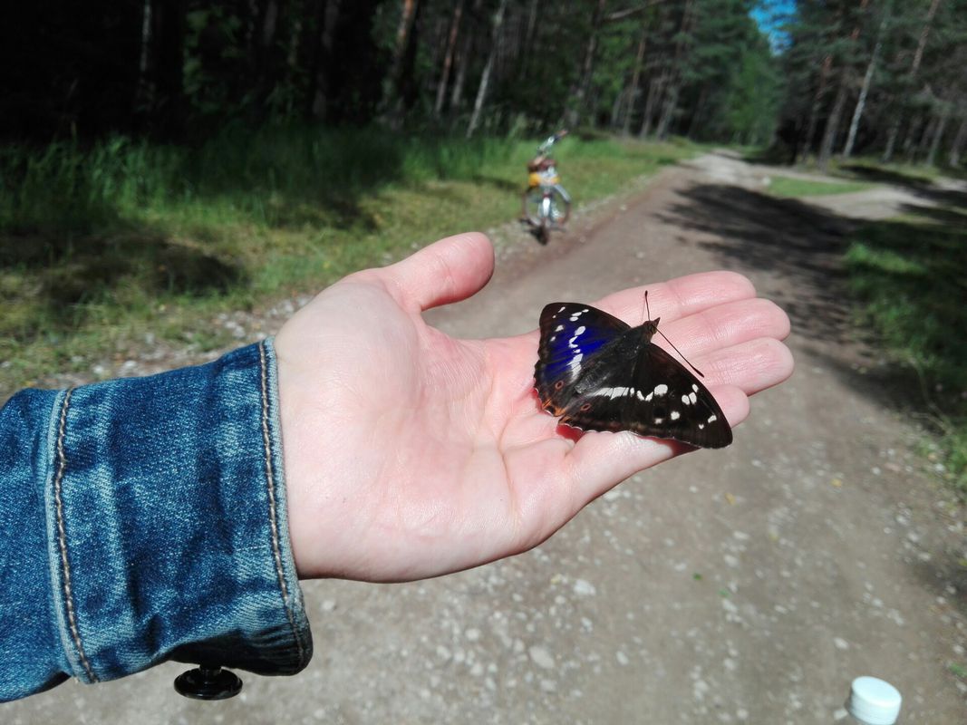 Brief bike tour through Illuka vald