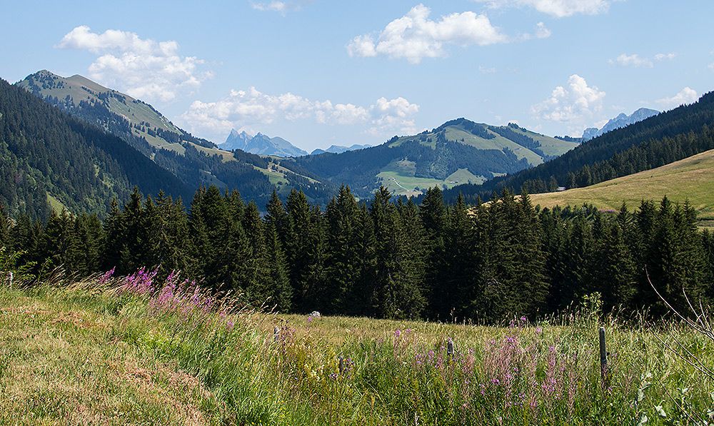 47° Nord Tour de Suisse Etappe 4
