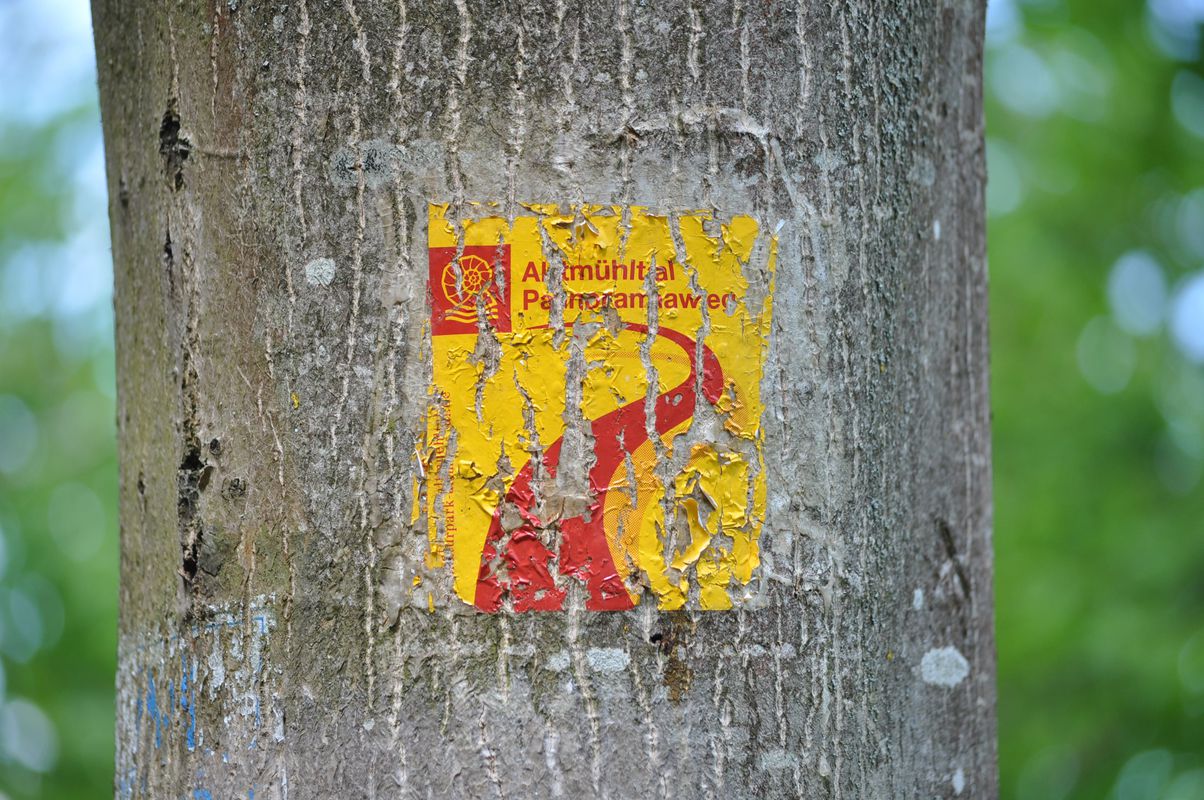 Dom zu Eichstätt bis Pfünz und zurück über Wellheim