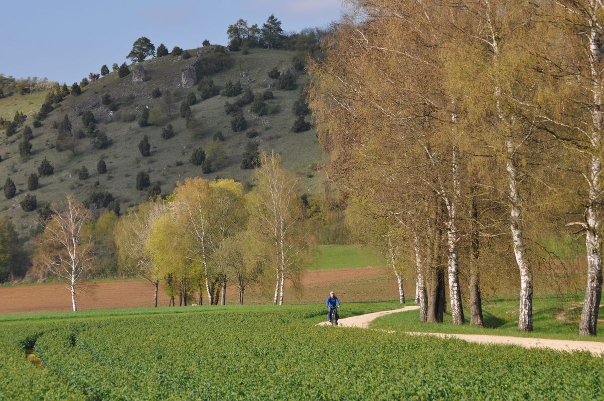 Dom zu Eichstätt über Ingolstadt bis Wallheim und zurück