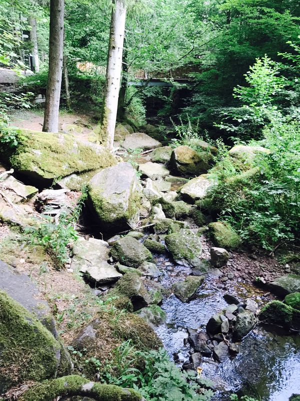 Tour ins Monbach- und Nagoldtal